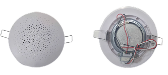 Ceiling Speaker
